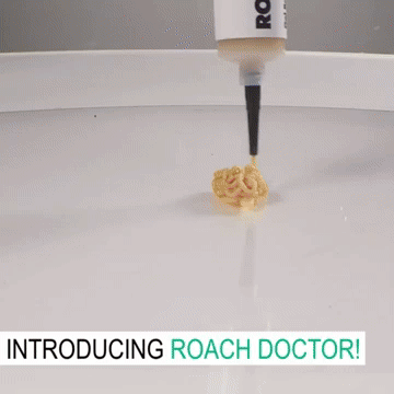 🪳 Cockroach Killing Gel 🪳 جل القضاء على الصراصير