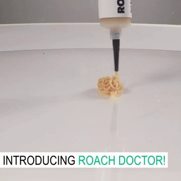 🪳 Cockroach Killing Gel 🪳 جل القضاء على الصراصير