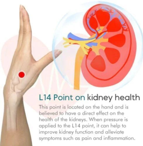 SUGAR CONTROL  ACUPRESSURE POINT CLIP